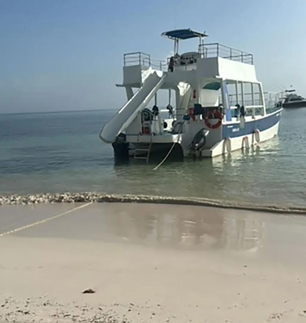 Ocean Views & Private Beach! Luxury 4Bdr Getaway بونتا كانا شقة