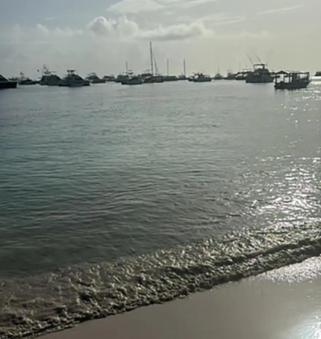 شقة Ocean Views & Private Beach! Luxury 4Bdr Getaway بونتا كانا جمهورية الدومينيكان