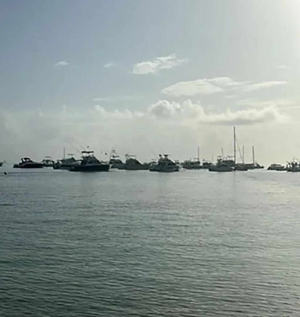 شقة Ocean Views & Private Beach! Luxury 4Bdr Getaway بونتا كانا