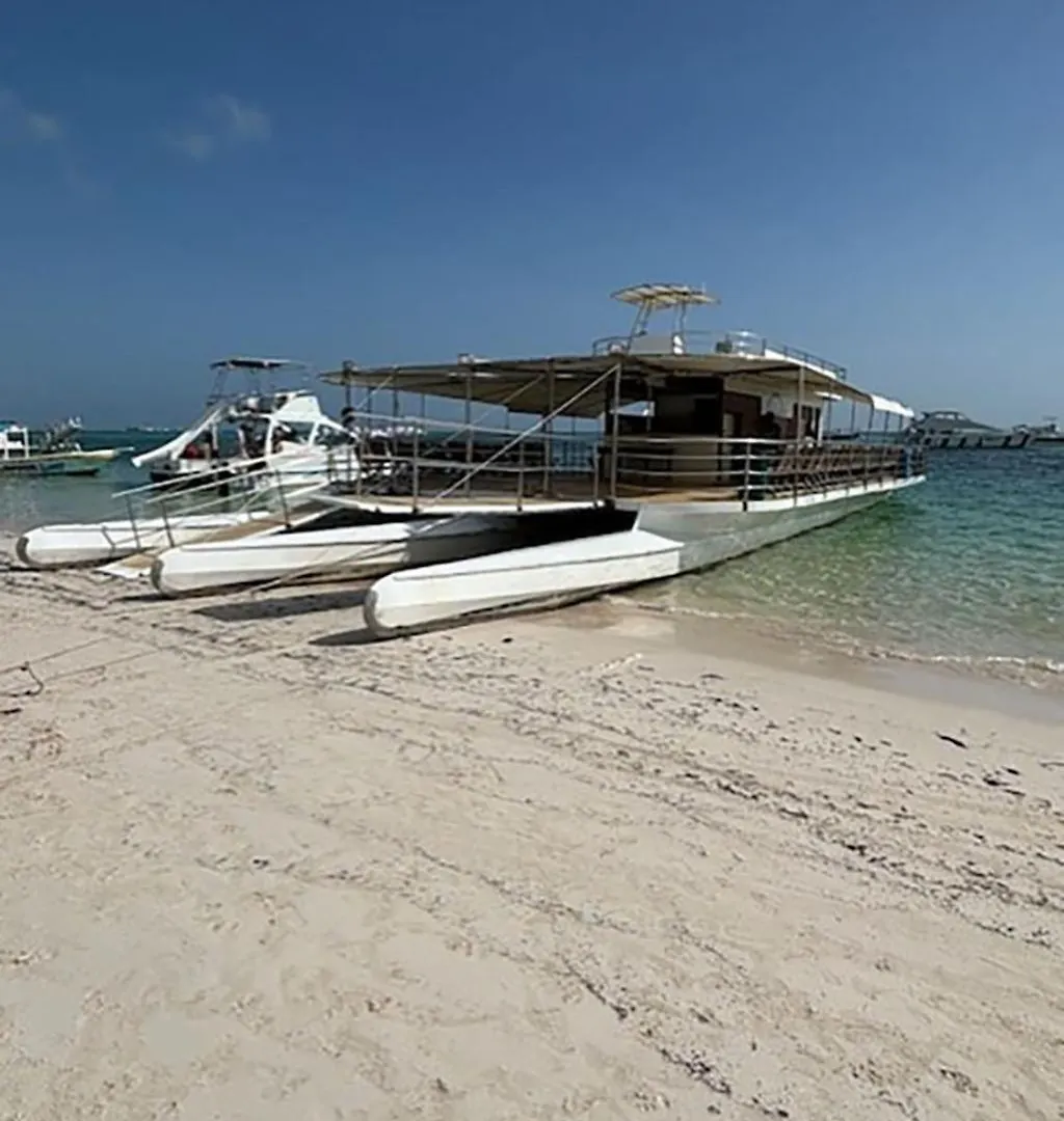 Ocean Views & Private Beach! Luxury 4Bdr Getaway بونتا كانا شقة
