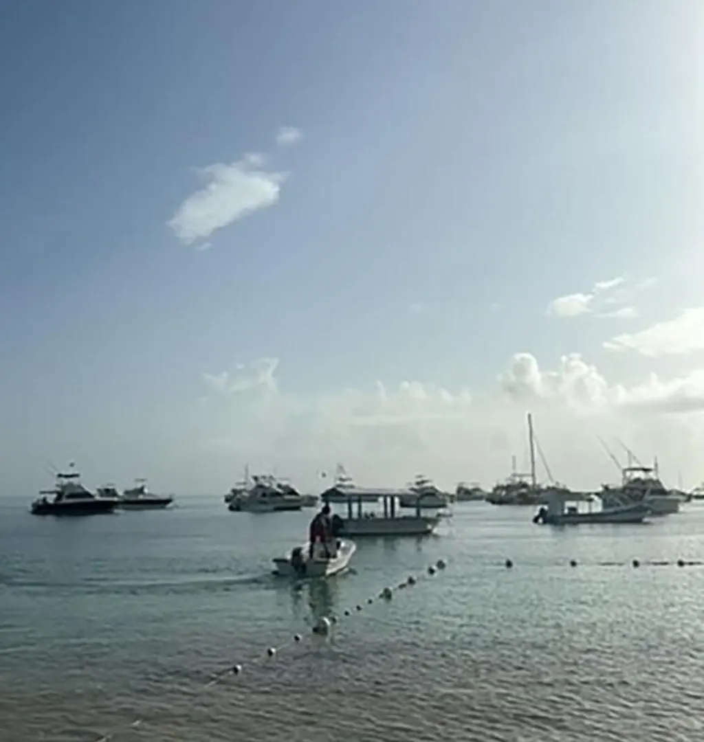 Ocean Views & Private Beach! Luxury 4Bdr Getaway Punta Cana Apartamento